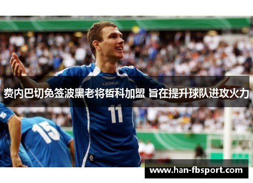 费内巴切免签波黑老将哲科加盟 旨在提升球队进攻火力 费内巴切免签波黑老将哲科加盟 旨在提升球队进攻火力